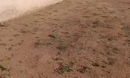 Terreno residencial à venda em ibaté - jequitibá por r$ 117.000,00