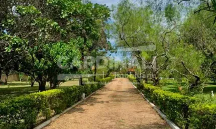 Fazenda à venda na Rua Doutor Ailton Antônio Calvo, 83, Tibaia de São Fernando, São Carlos