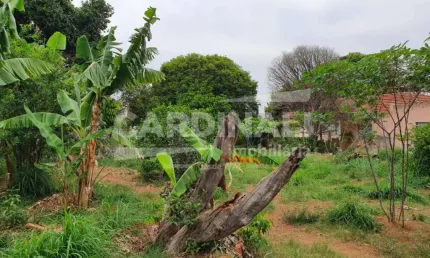Terreno com ótima localização, próximo à escolas e comércio.