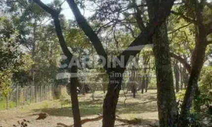 Chácara / sítio à venda na Estrada Ernesto Pinca - De 799/800 A 1097/1098, 800, Tibaia de São Fernando, São Carlos