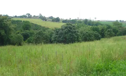 Terreno à venda na Rodovia Anhangüera, , Lote Area 5, Quadra 0 Km 134, 005, Bairro dos Lopes, Limeira