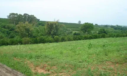 Terreno à venda na Rodovia Anhangüera, , Lote Area 4, Quadra 0 Km 134, 004, Bairro dos Lopes, Limeira