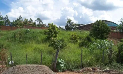 Terreno à venda na Rua Joao Alves Delfino, , Lote 0, Quadra 0, 0002, Centro, Ribeirão Bonito