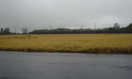 Terreno à venda na Rua Jardim Vista Alegre, , Lote 28, Quadra 02, 28, Loteamento Jardim Vista Alegre, São Carlos