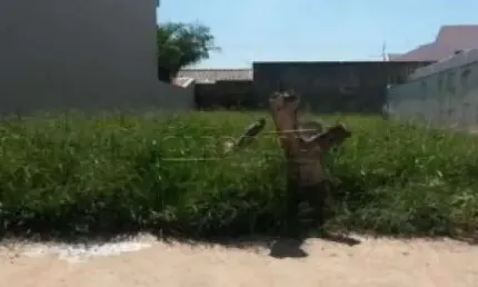 Terreno à venda na Rua José Palone, Jardim Bandeirantes, São Carlos