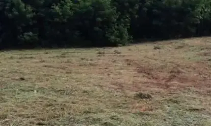 Terreno à venda na Avenida Professor José Clozel, Jardim Morumbi, Araraquara