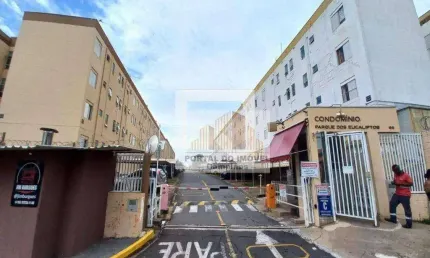 Apartamento com 3 dormitórios à venda, 50 m² por r$ 215.000,00 - vila padre manoel de nóbrega - campinas/sp