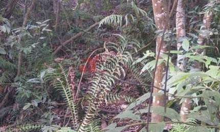 Terreno de Condomínio  em Parque Nova Jandira  -  Jandira