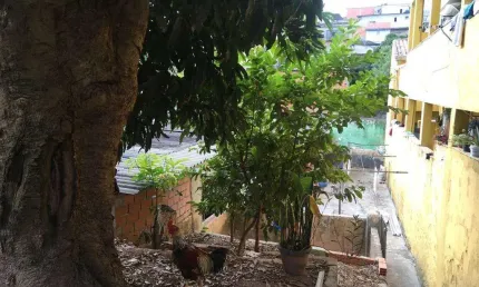 Casa com 2 quartos à venda na vila diva, são paulo , 350 m2 por r$ 500.000