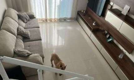 Casa com 3 quartos à venda na Água Fria, São Paulo , 130 m2 por R$ 1.190.000
