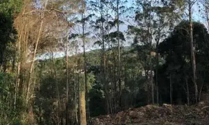 Terreno à venda no Rio Acima, Mairiporã  por R$ 120.000