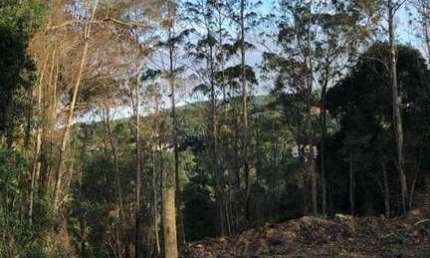 Terreno à venda no Rio Acima, Mairiporã  por R$ 250.000
