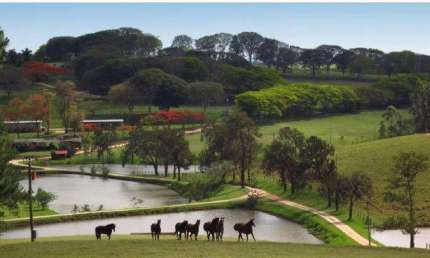 Chácara / sítio à venda na Área Rural de Amparo, Amparo , 2613600 m2 por R$ 75.000.000