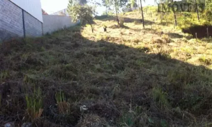 Área Industrial 1.530 mts² à venda  em Mairiporã SP