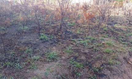 Terreno escriturado à venda em Terra Preta - Mairiporã SP