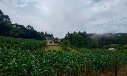 Chácara / sítio com 2 quartos à venda na Areia Branca dos Assis, Mandirituba 