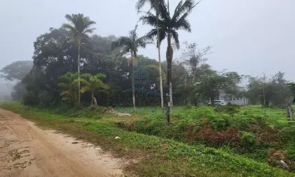 Terreno à venda na Praia do Ervino, São Francisco do Sul 