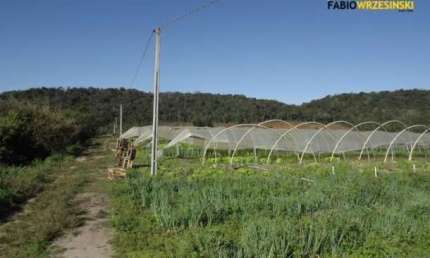 Terreno comercial à venda na Barra do Itapocú, Araquari 
