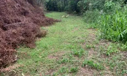 Chácara / sítio à venda no Centro (Rio Rosinha), Rio dos Cedros 