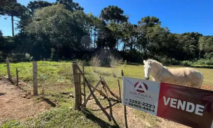 Terreno à venda na Avenida Dirço Ribas, 292, Jardim Esmeralda, Campo Largo
