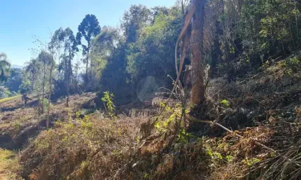 Chácara / sítio à venda na Estrada Dom Dorigo, Itambé, Campo Largo