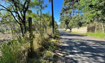 Terreno à venda no bairro Ferraria - Campo Largo/PR