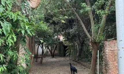 Chácara / sítio para alugar na Rua Tucuna, Pompéia, São Paulo