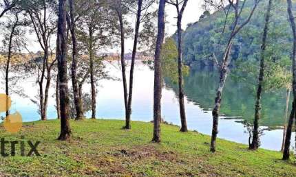 Área à venda, 22000 m² por R$ 1.650.000,00 - Butiatuva - Campo Largo/PR