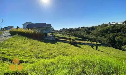 Terreno à venda, 1300 m² por R$ 550.000,00 - Vila Torres I - Campo Largo/PR