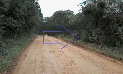 Área à venda, 48400 m² por R$ 1.100.000,00 - Área Rural de São José dos Pinhais - São José dos Pinhais/PR
