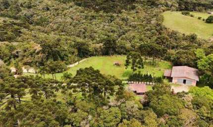Oportunidade única! Haras completo com 316.000 m² por R$ 7.000.000 - Centro - Piraquara/PR