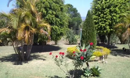 Chácara / sítio com 3 quartos à venda no Paineiras, Piedade 