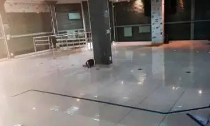 Ponto comercial para alugar na Rua Teodoro Sampaio, 2210, Pinheiros, São Paulo por R$ 27.000