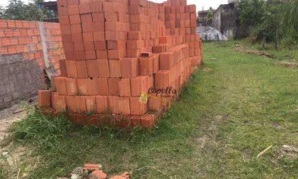 Terreno à venda, 269 m² por R$ 160.000,00 - Jardim das Palmeiras - Itanhaém/SP