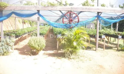 Chácara / sítio com 3 quartos à venda na Estrada João Passuelo, 1150, Vila Nova, Porto Alegre por R$ 1.400.000