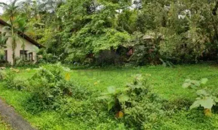 Terreno no bom retiro com 0 quartos para venda, 4198 m²