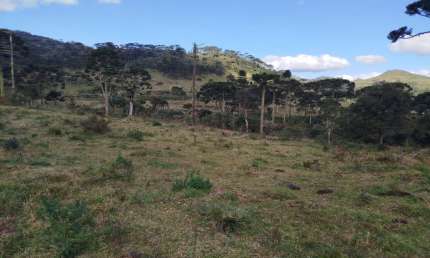 Chácara / sítio à venda na Rodovia SC 439, Zona Rural, Urubici