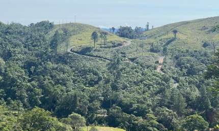 Terreno com 35 hectares em Campina Grande do Sul PR