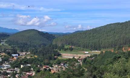 Chácara 10.000m² (1 hectare ) em Campina Grande so Sul PR