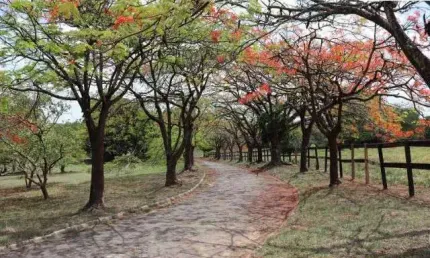CONDOMÍNIO FECHADO BAIRRO VILLA SAPEZAL - INDAIATUBA