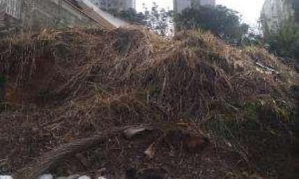Terreno à venda em Pirituba, São Paulo 