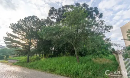 Terreno à venda na rua vereador joão augusto de almeida barbosa, vila otto, campo largo por r$ 550.000