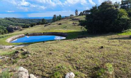 Chácara / sítio à venda na Casemiro Stoco, 1, Centro, Balsa Nova por R$ 890.000