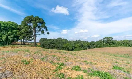 Chácara / sítio à venda na Rua Ignácio Belinovski, Colônia Figueiredo, Campo Largo por R$ 1.050.000