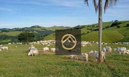 Fazenda à venda, 2928200 m² - Guampará - Marquinho/PR