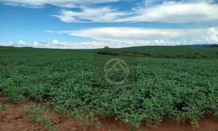 Fazenda à venda, 2250600 m² por R$ 11.000.000,00 - Centro - Guarapuava/PR