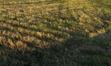 Fazenda à venda, 2758800 m² por R$ 30.000.000,00 - Jardim Vitória - Turvo/PR