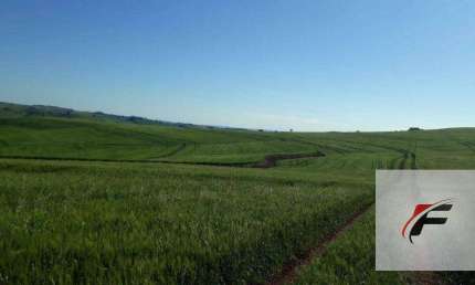 Fazenda à venda, 2988700 m² por R$ 37.000.000,00 - Rural - Faxinal/PR