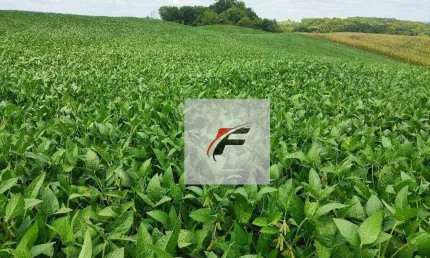 Chácara com 3 dormitórios à venda, 111000 m² por R$ 980.000,00 - Zona Rural - Lapa/PR