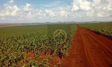 Fazenda à venda, 16431800 m² por R$ 260.000.000,00 - Jardim Lindóia - Goioere/PR